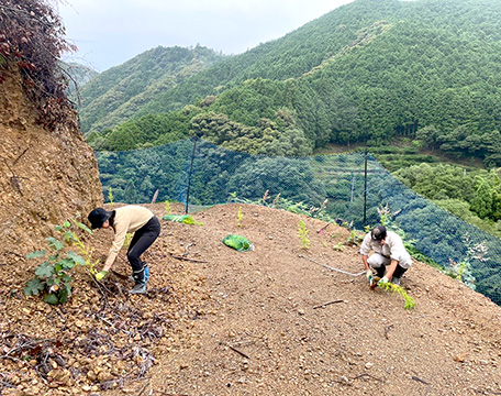 植え付けの作業をしている様子