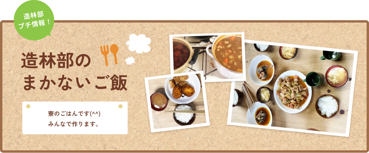 造林部のまかないご飯の写真