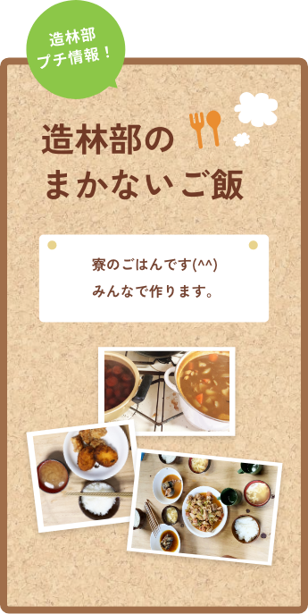 造林部のまかないご飯の写真
