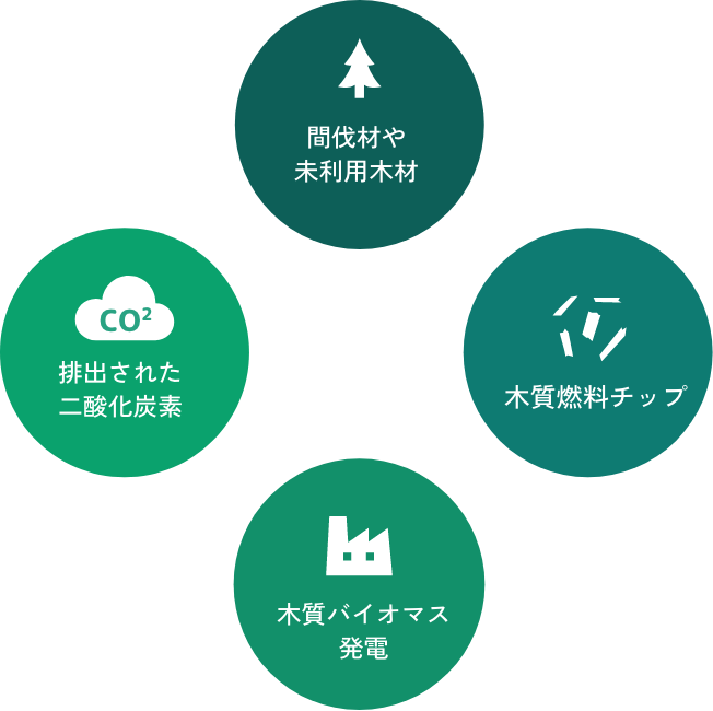 未利用バイオマスのイメージ図01